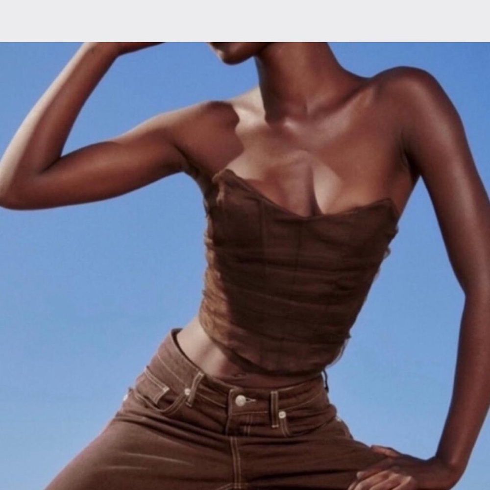 Zara Brown Mesh Corset Women Top